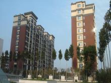 潍坊市和春住住宅楼，，，，，获得2013年度潍坊市“优质结构杯质量奖”