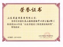 泰山国际A楼山东省Z6尊龙凯时工程优质结构杯